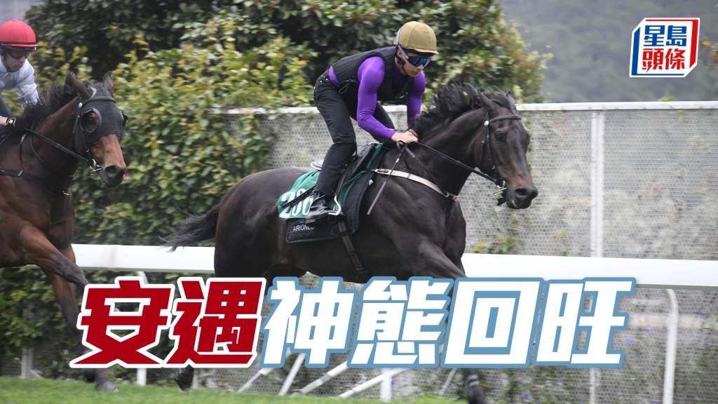 「安遇」步姿爽朗彈力充足。