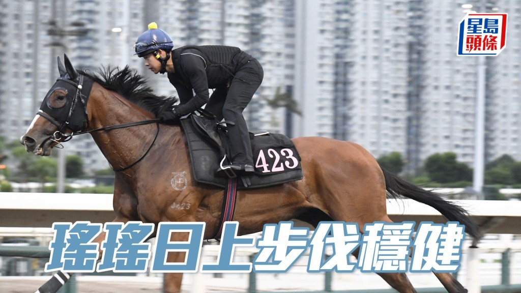 「瑤瑤日上」力度愈見提升，狀態起得唔錯。