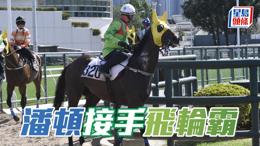  報爭周日(9月14日)沙田第四班千二米的「飛輪霸」，上季兩戰配潘明輝均獲亞，馬兒將季內初出，姚本輝卜了潘頓騎。