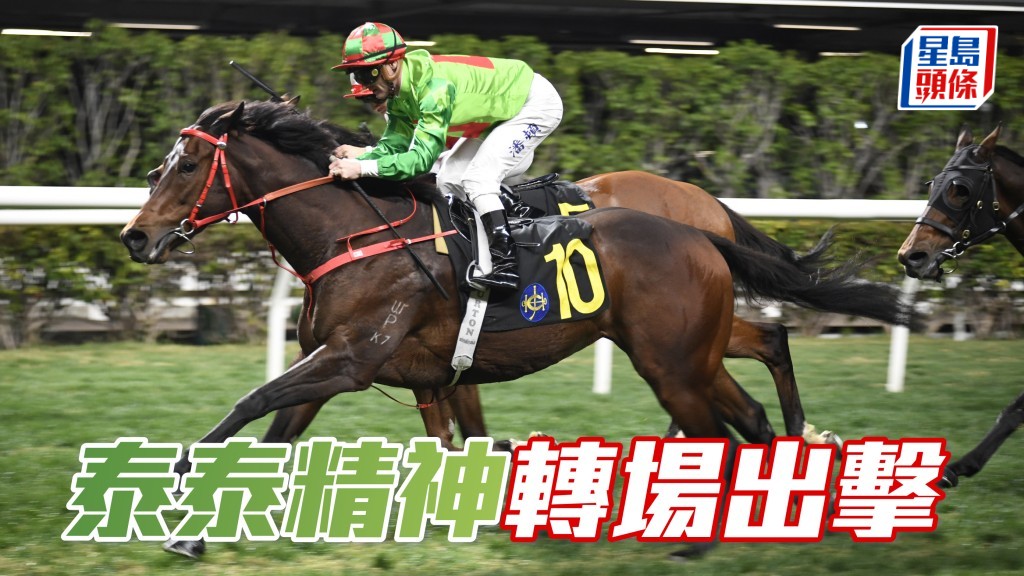 「泰泰精神」不用懷疑其谷草能力，四檔起步如咬到中前位置，力足在此爭勝。