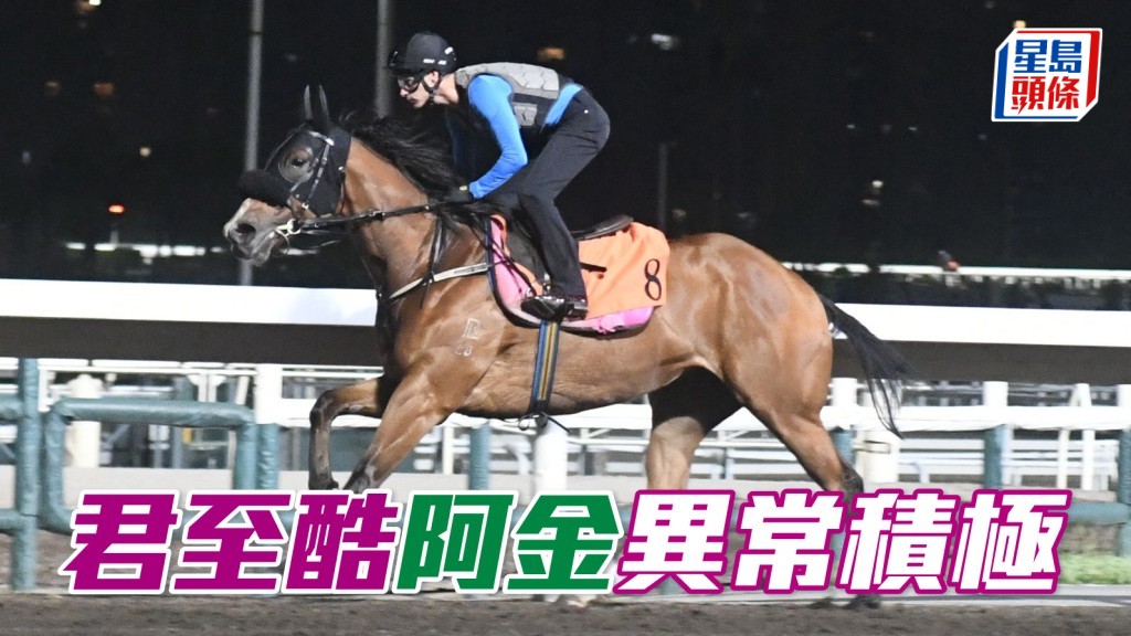 沙田早晨│「君至酷」阿金异常积极