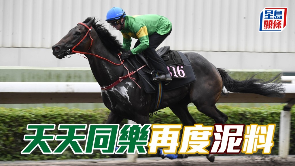 「天天同樂」上月中旬配潘頓試泥閘跑第一，為今仗搏殺準備妥當。