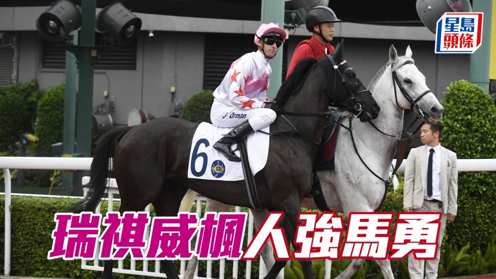 「瑞祺威楓」近四仗轉戰谷草一哩效果佳，今仗排位合適，可望打開在港勝門。