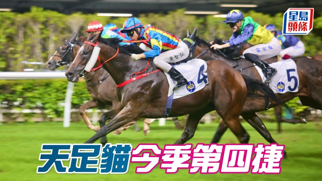 「天足貓」今季第四捷