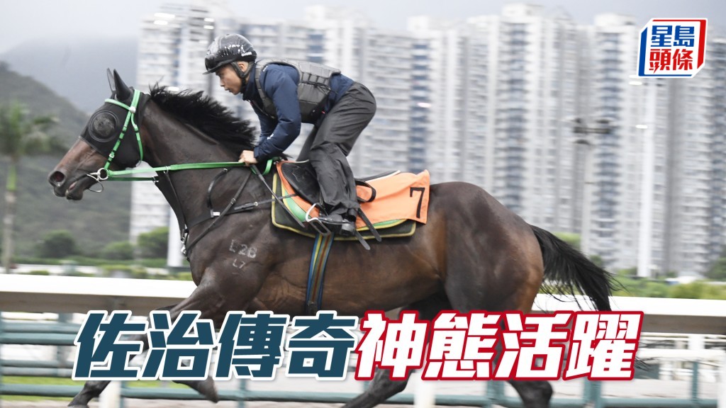 「佐治傳奇」馬身靚呈現線條美，保持上佳進度。