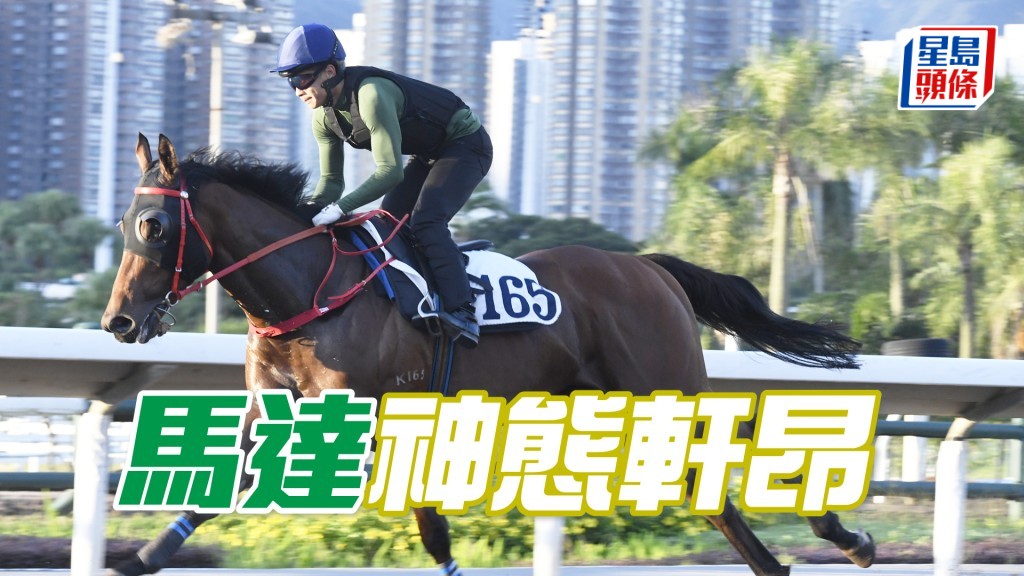 「馬達」跨步開揚力度貫注，勝後更進一步吸引不已。