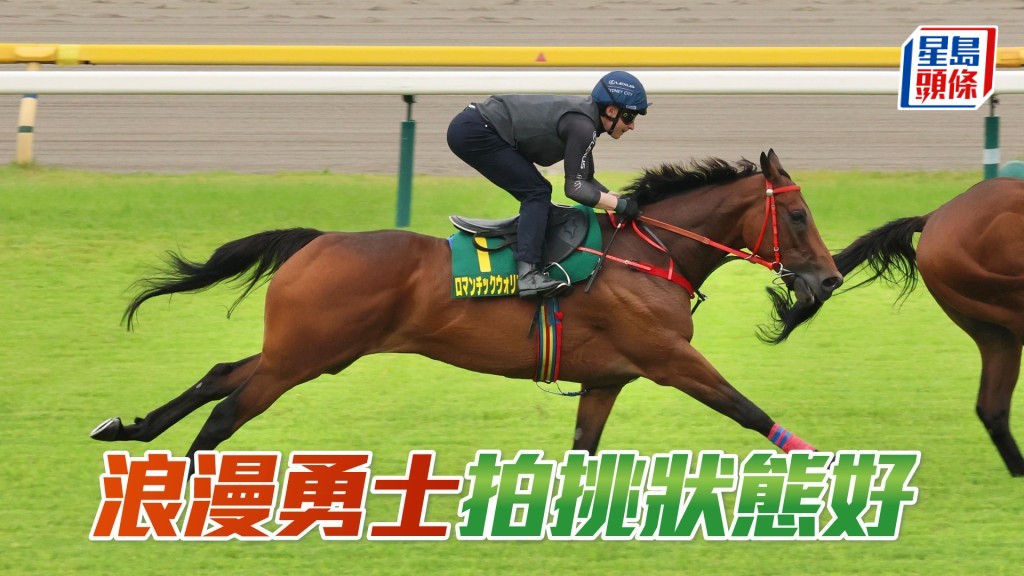 「浪漫勇士」由騎師麥道朗親自主理，與「浪漫風采」在草地拍跳一圈，試來精神奕奕，狀態不錯。  Bit Lau攝