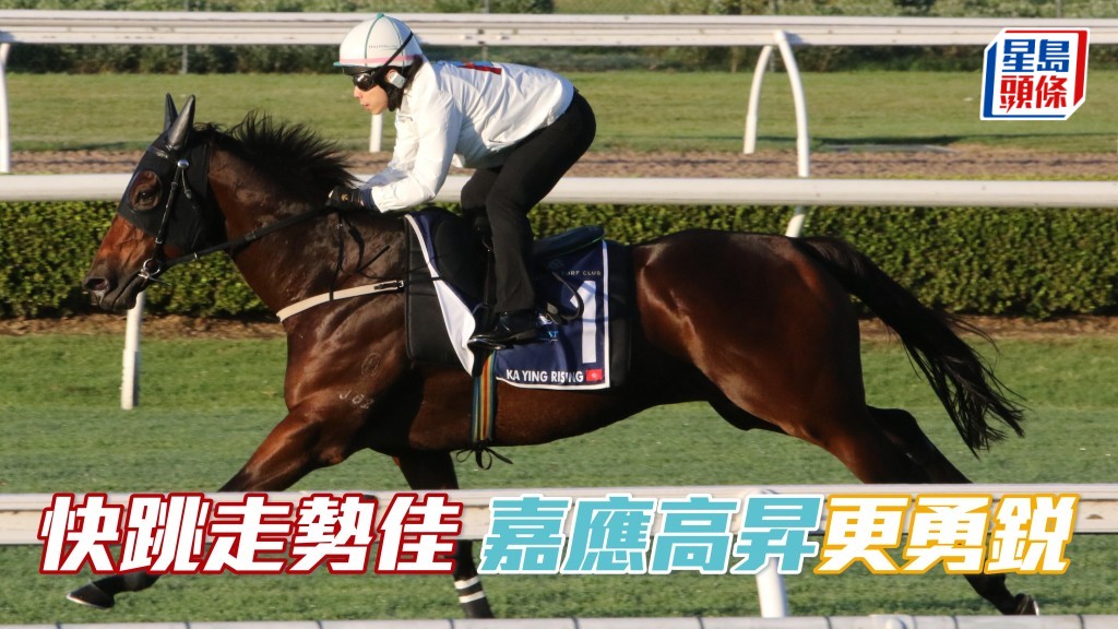 馬場浮世繪│快跳走勢佳 「嘉應高昇」更勇銳