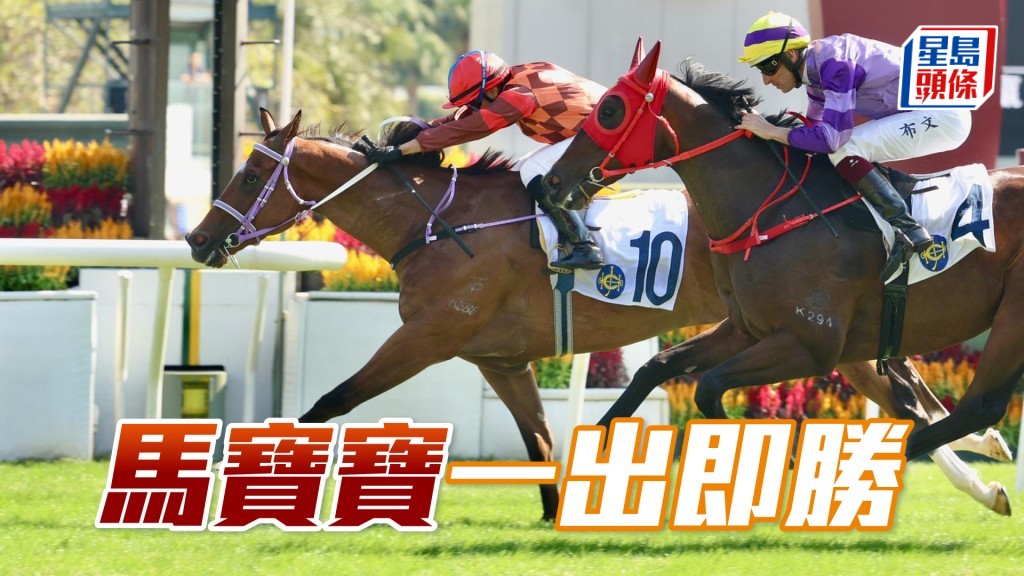 「馬寶寶」一出即勝