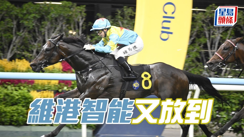 「維港智能」回師勝途，負磅不重，若能把握起步並輕鬆領放，有力構成威脅。
