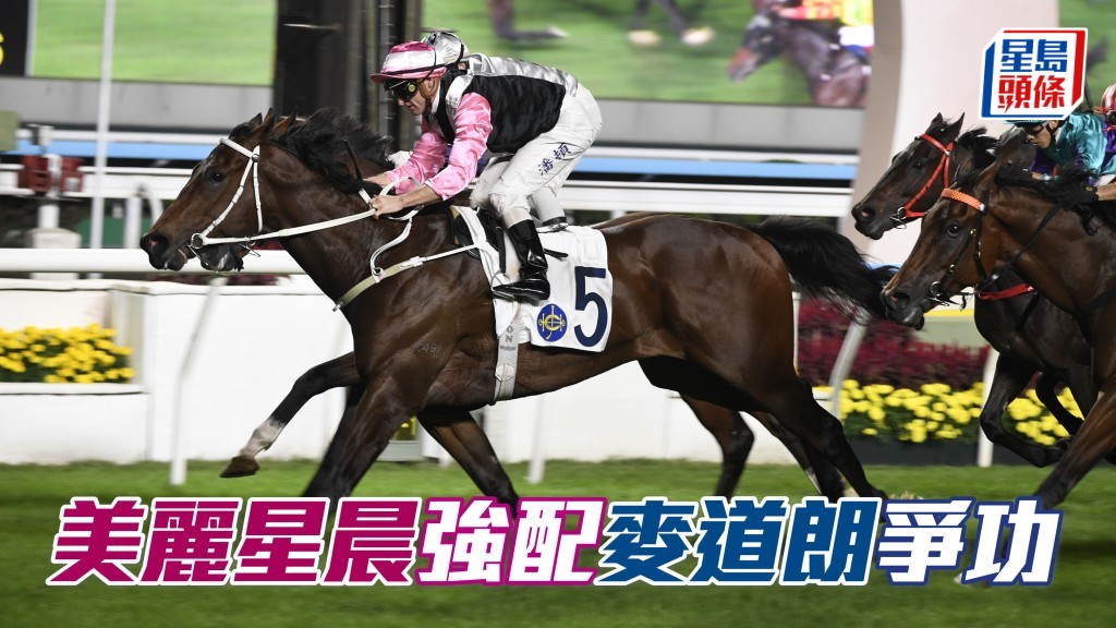 告東尼透露經過和「美麗」系馬主郭少明一家人的商量後，決定邀請麥道朗夥拍「美麗星辰」(圖) 出戰2月1日香港經典一哩賽。