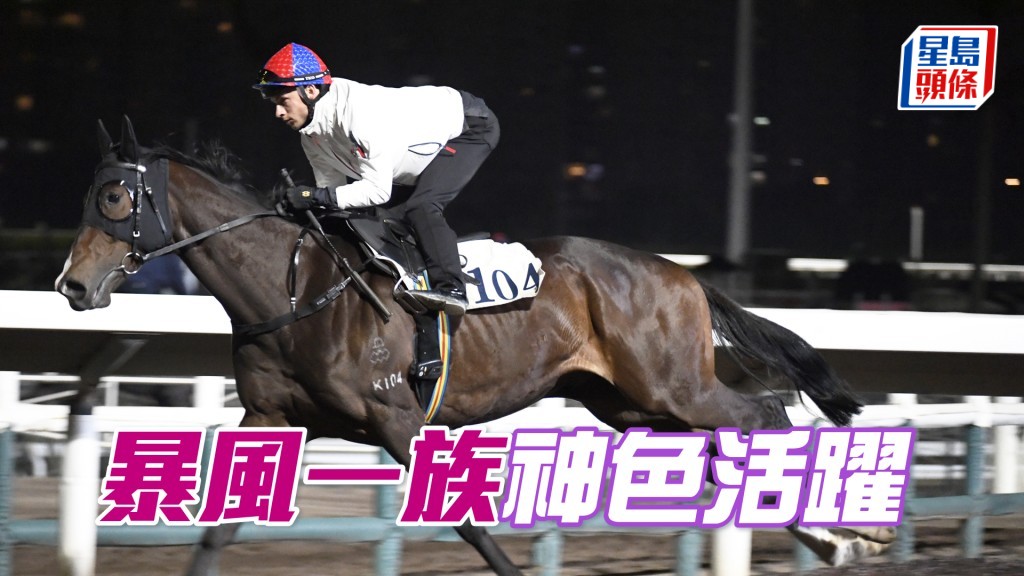 「暴風一族」馬身收得壯情緒穩定，上火上力大有進展。