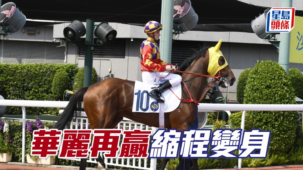 「华丽再赢」缩程变身