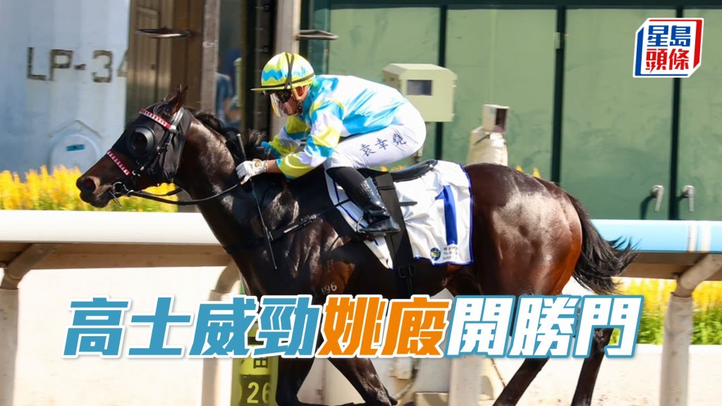 「高士威劲」姚厩开胜门