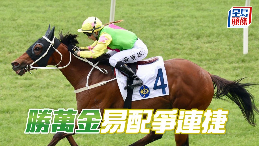 「勝萬金」明天將出爭第九場三班一千米。