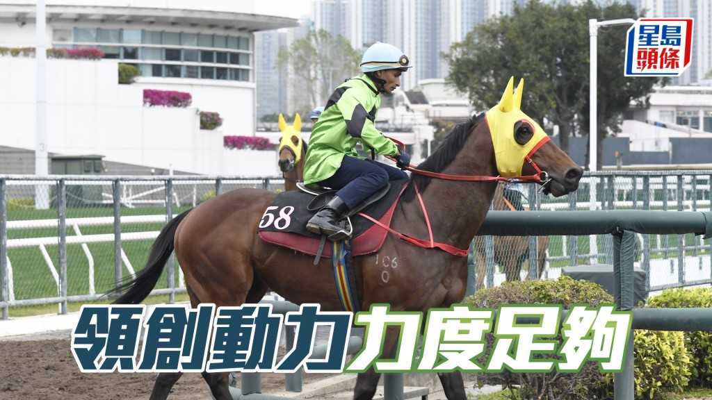 「领创动力」双目炯炯有神，充满朝气一直省镜。