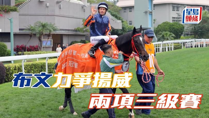 布文周六主轡「紅運帝王」及「驕陽明駒」,力爭揚威兩項三級賽。