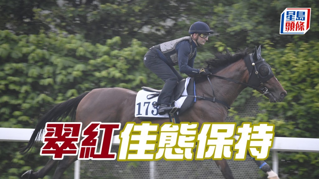 「翠紅」步伐穩健力度充沛，毛色油潤充滿光澤。