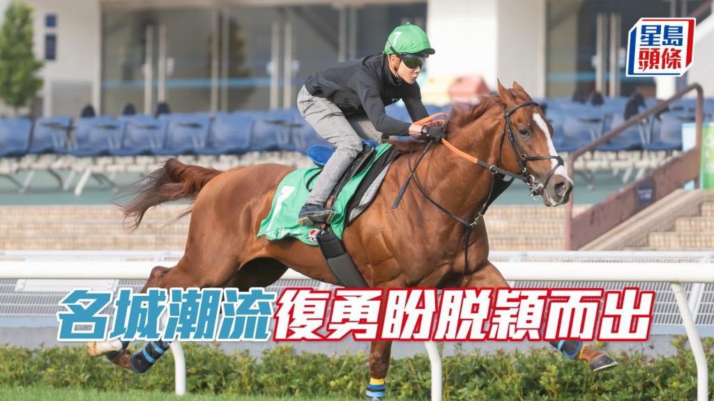 「名城潮流」在沙田草地跑道上操練，備戰浪琴香港瓶。