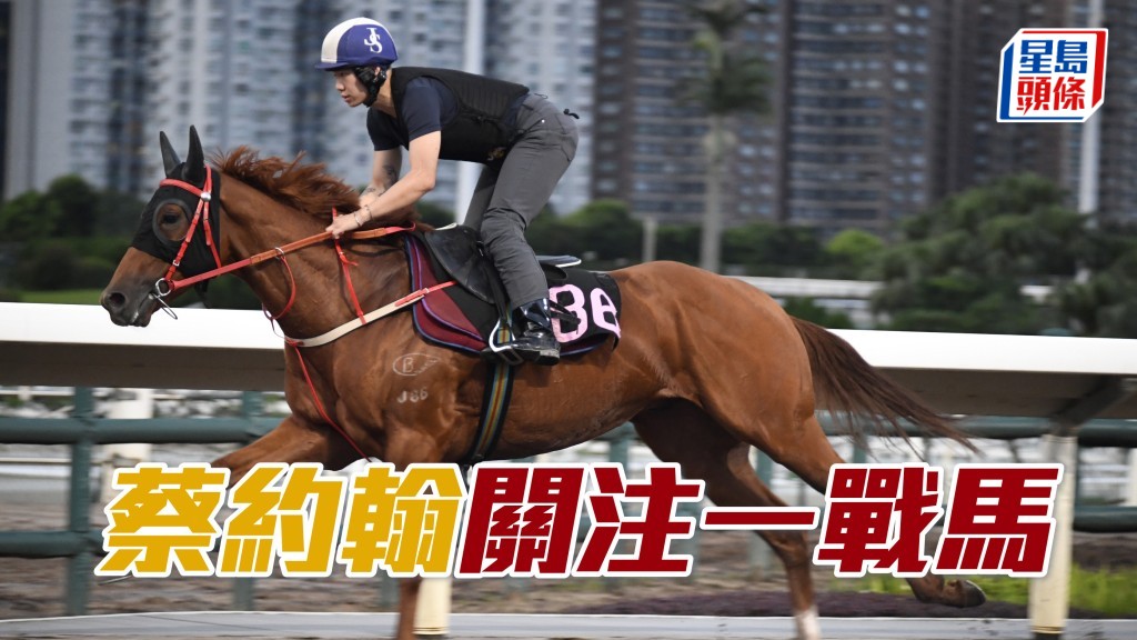 蔡约翰睇完「旋风飞飏」出跳走势后，跟手到机坪石屎路等马，之后跟住马匹返仓。