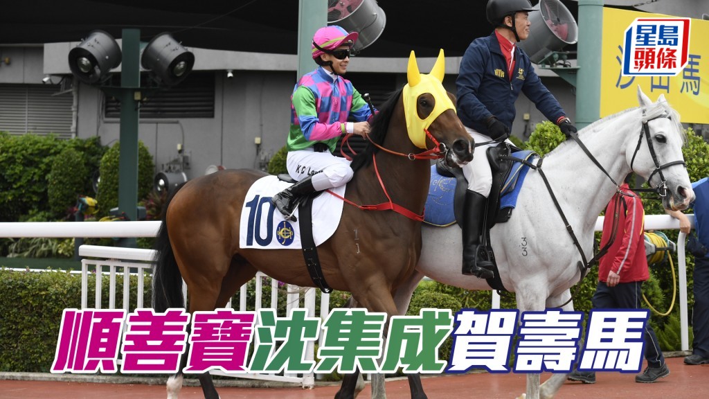 「順善寶」健康已經回穩，希望在陣上遇好形勢，跑得接近。