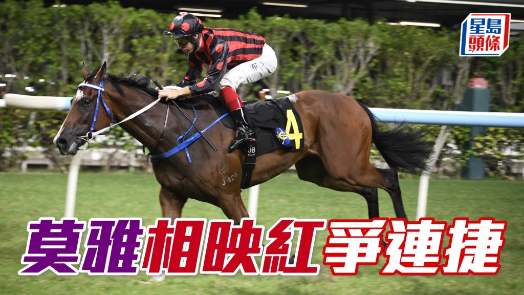 方嘉柏和蕭氏家族合作愉快，方仔當然希望「相映紅」(圖) 繼續贏馬，今場抽到高手莫雅，力爭連捷。
