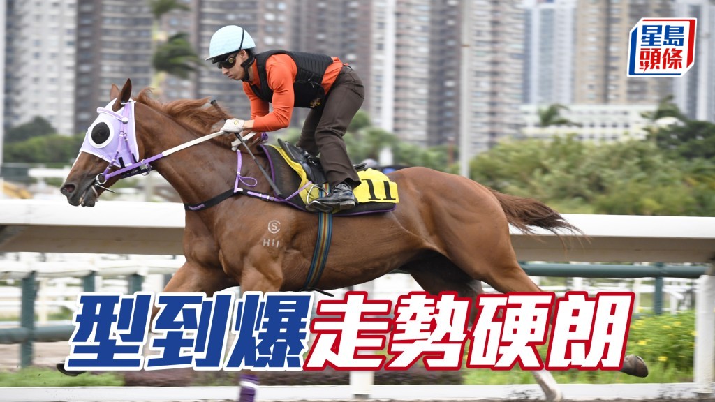 「型到爆」论态好弗喼到身壮。