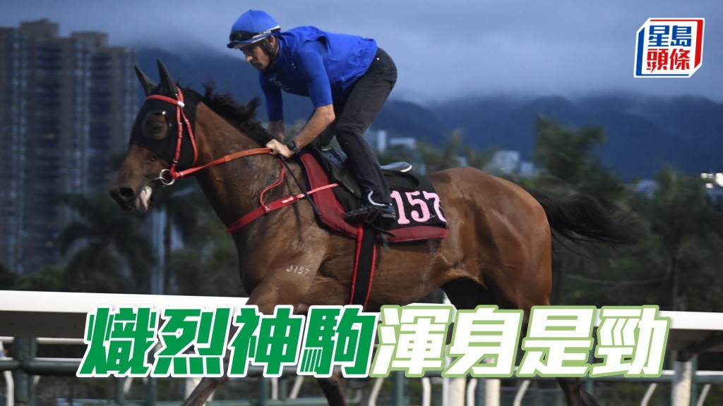 「熾烈神駒」近日試來神生步爽充滿朝氣，渾身是勁持續態勇。