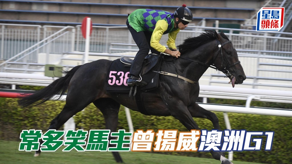 「常多笑」的三位馬主李國華、劉漢鈞及劉漢鈞，曾經在澳洲一起養過勝出G1的「日光暉映」。