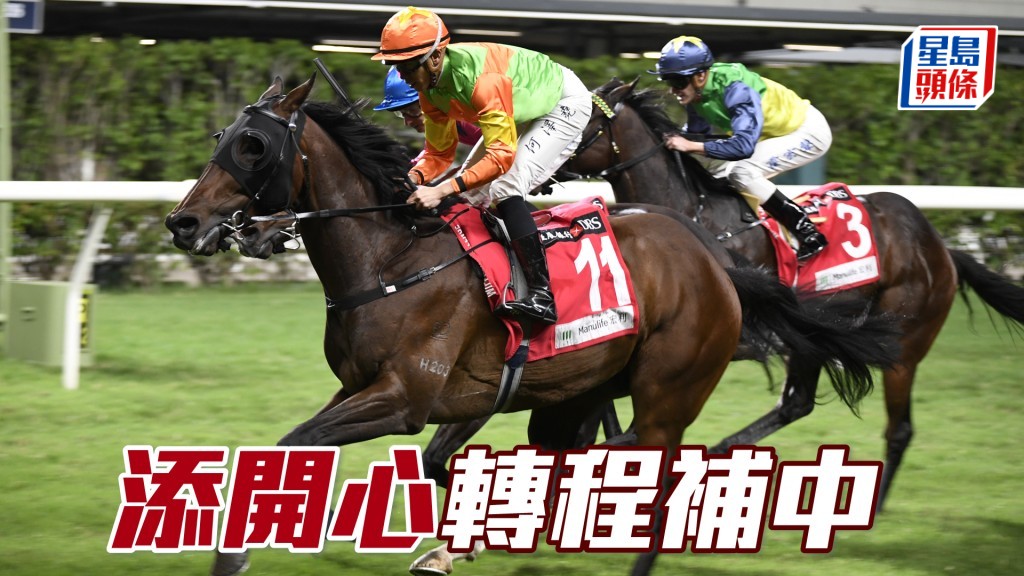 「添開心」隔十日匆出，伍廄來說屬佳兆，多快馬場合最啱發揮。