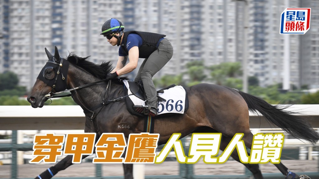「穿甲金鷹」含枚俯首，落腳穩力貫注。