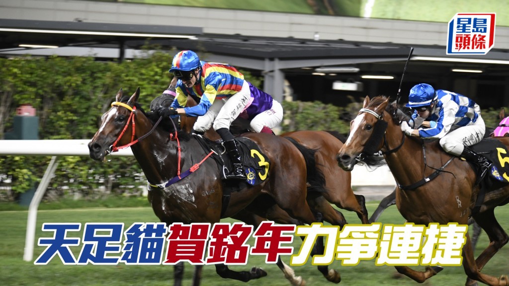 「天足貓」上仗在賀銘年胯下爆出十四倍冷門取勝。
