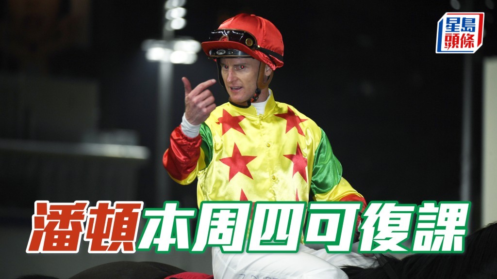 馬會首席醫療主任通知受薪董事小組,表示潘頓 (圖) 今天已接受評估,確定適宜由3月20日起恢復策馬出操及試閘。