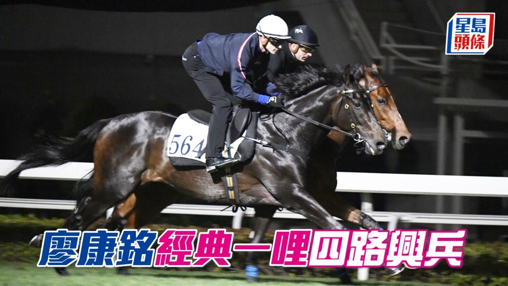 今早艾兆禮「翠紅」和霍宏聲「友瑩光」（近鏡頭）在草地拍跳。