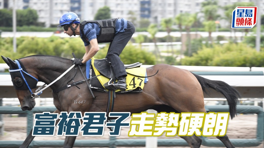 「富裕君子」神態活潑火氣未減，體力充沛勇況依然。