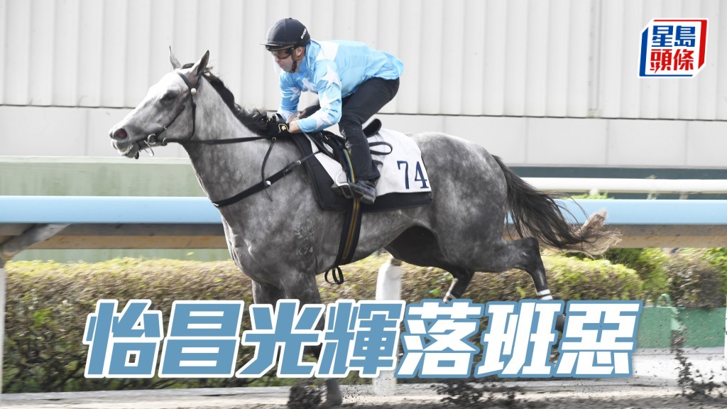 「怡昌光辉」今季已连场热身，今次落四班配潘顿，条件稳妥。