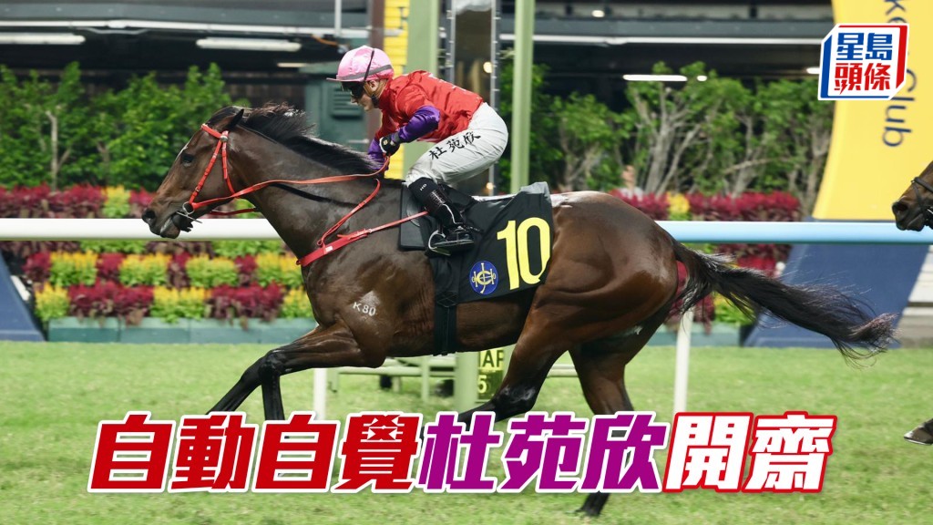 「自動自覺」杜苑欣開齋