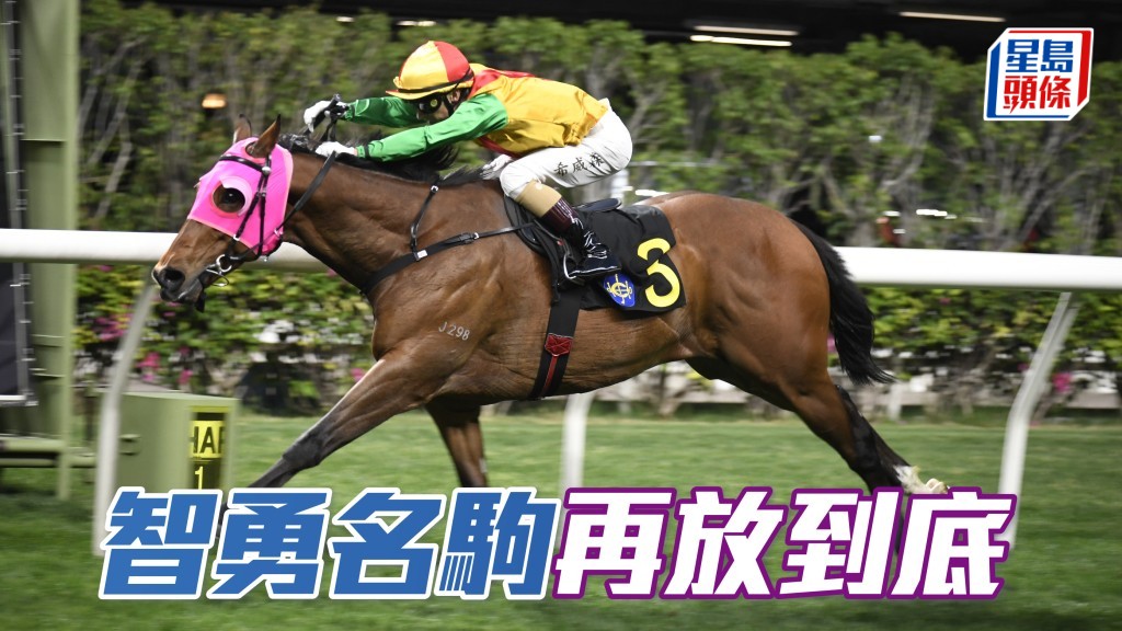 「智勇名駒」再放到底