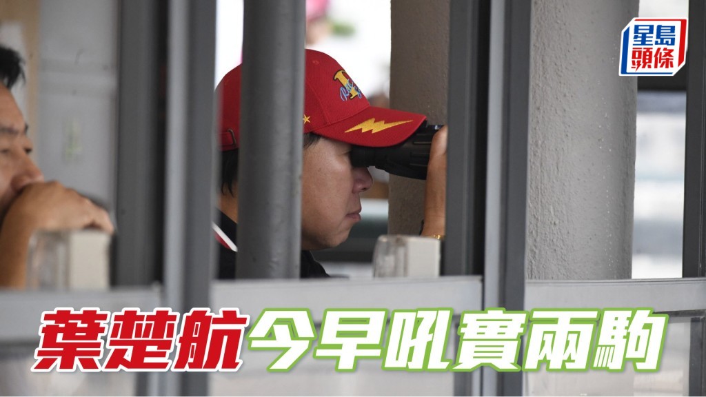 葉楚航今早吼實「好運年」和「豪邁先登」兩駒。