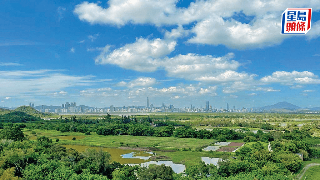 特區政府響應內地全國生態日 8.15濕地公園免費開放 綠綠賞積分兌換折扣