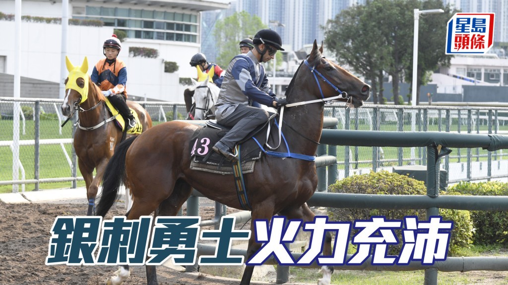「銀刺勇士」輕鬆慢試神氣十足，比起贏馬時相差不遠。