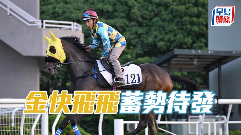  「金快飛飛」末段加速充滿動感，沿途搶高頭走相當神氣。