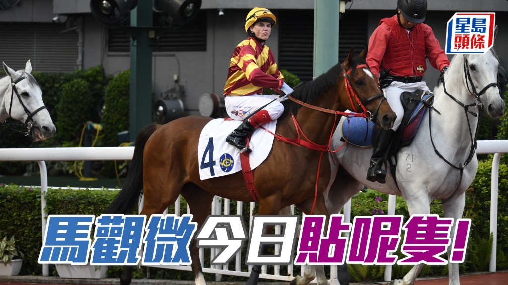 泰安贏馬贏「安泰」