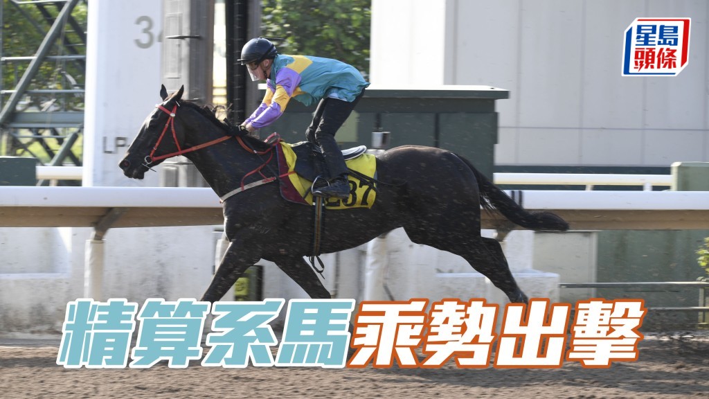 龐熙霆名下的「精算暴雪」贏馬當旺，話唔定可以把好運送給父母龐維寧伉儷的「精算謀略」(圖)。