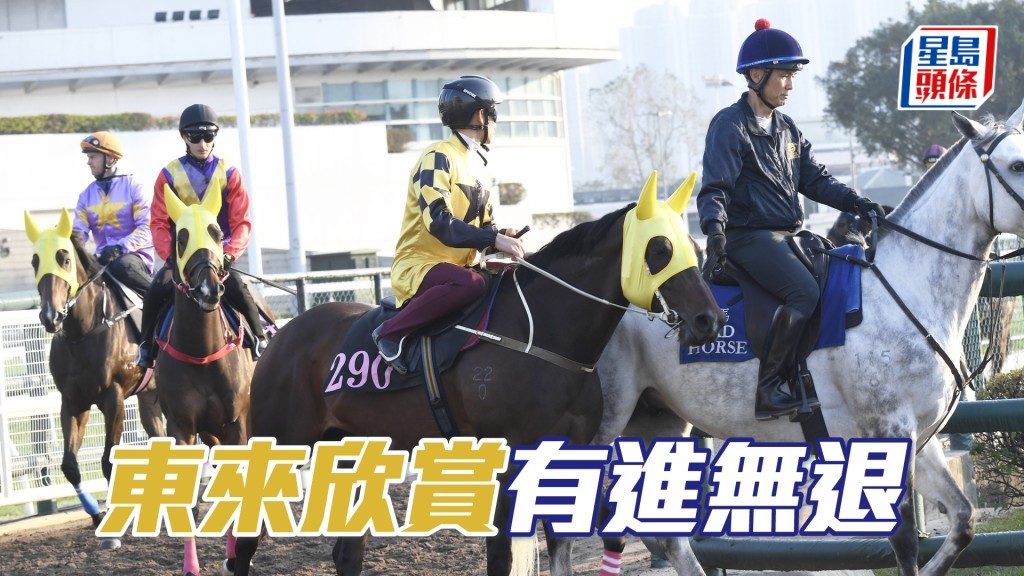 「東來欣賞」步伐穩健力度充沛，極之省鏡。