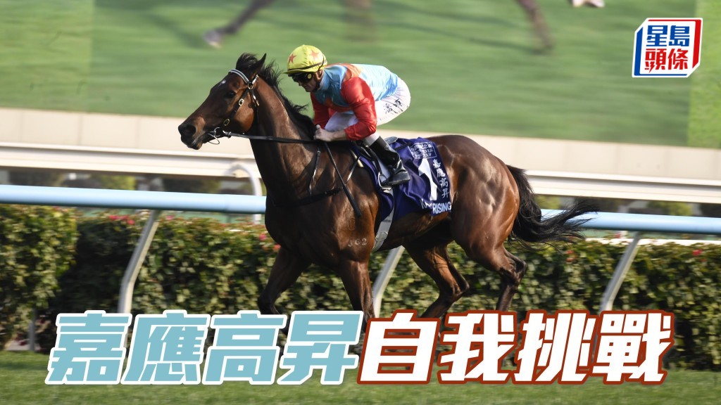 甜甜小记│「嘉应高升」自我挑战