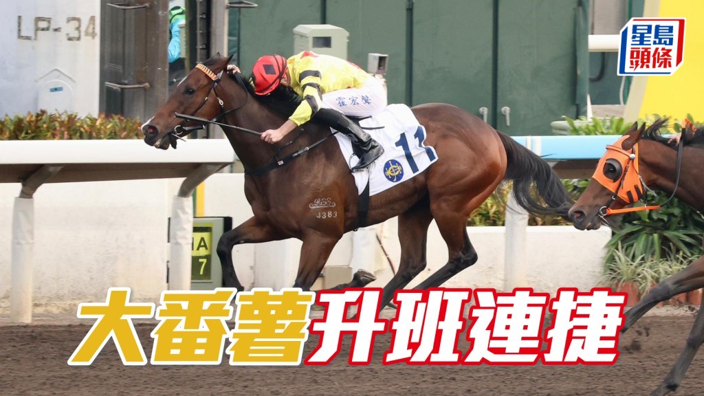 「大番薯」升班連捷
