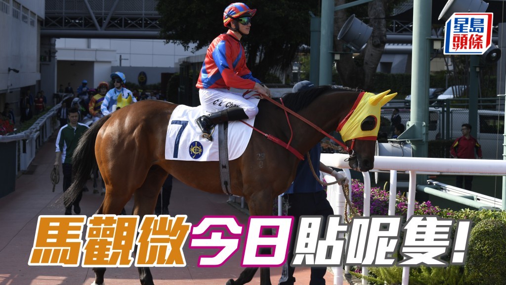 「熾烈神駒」成大事