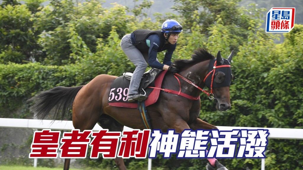 「皇者有利」火力非常够，近况无得顶。