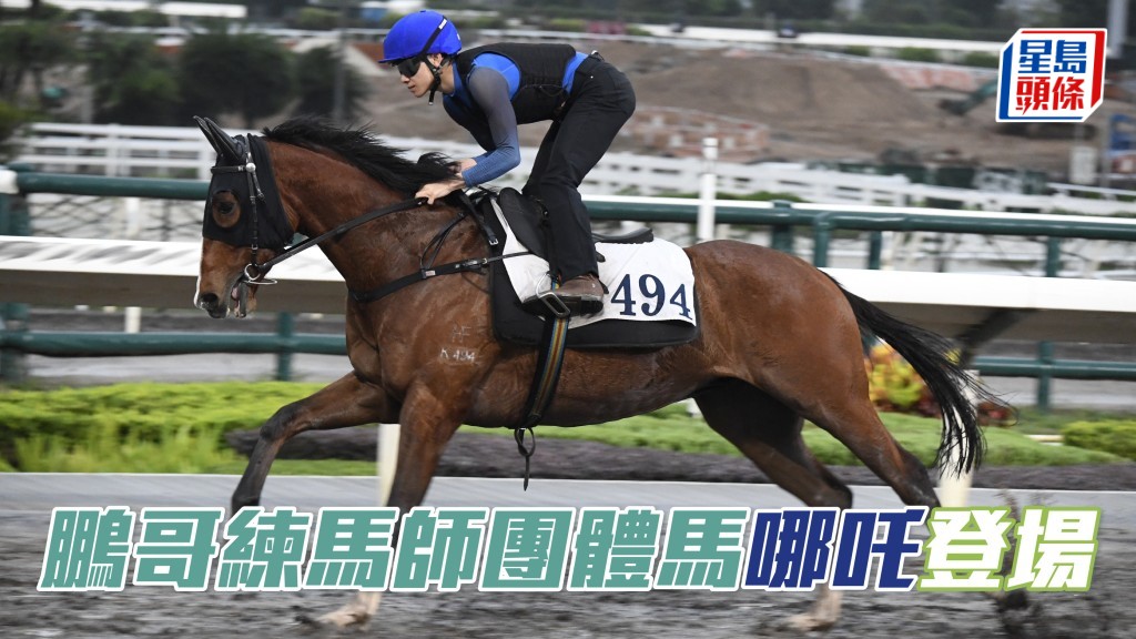 24/25容天鵬練馬師賽馬團體(2)的「哪吒」(圖), 將在周三晚谷草賽事初出。